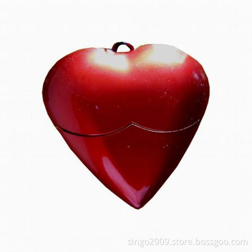 Heart Shape USB Flash Disk (HU5100)